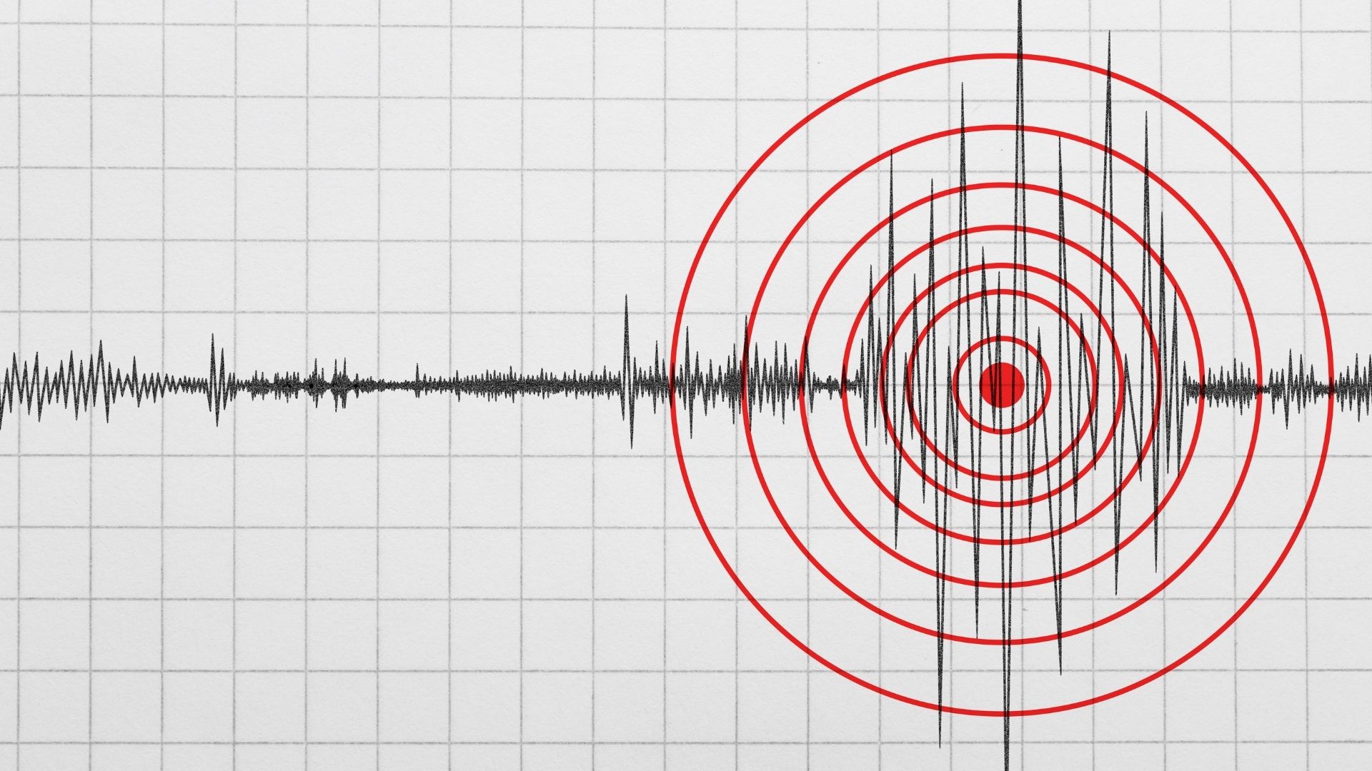 Seismograph trace across a grid with red concentric circles marking a seismic event on the right side